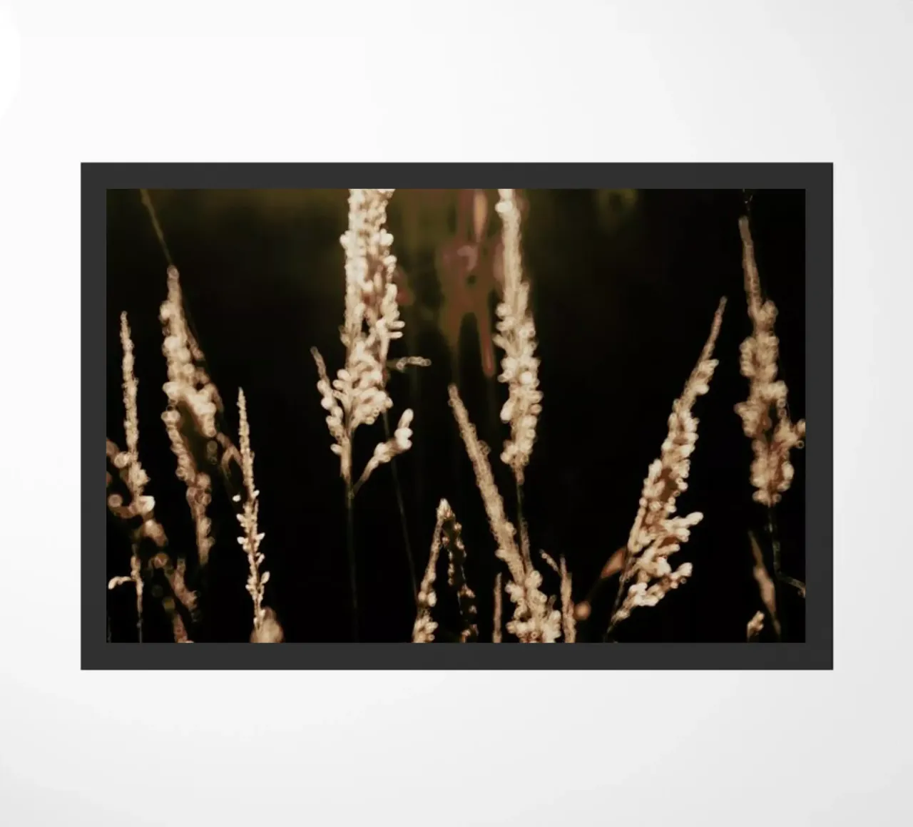 Golden Light 2 zerbino da Ingrid Beddoes