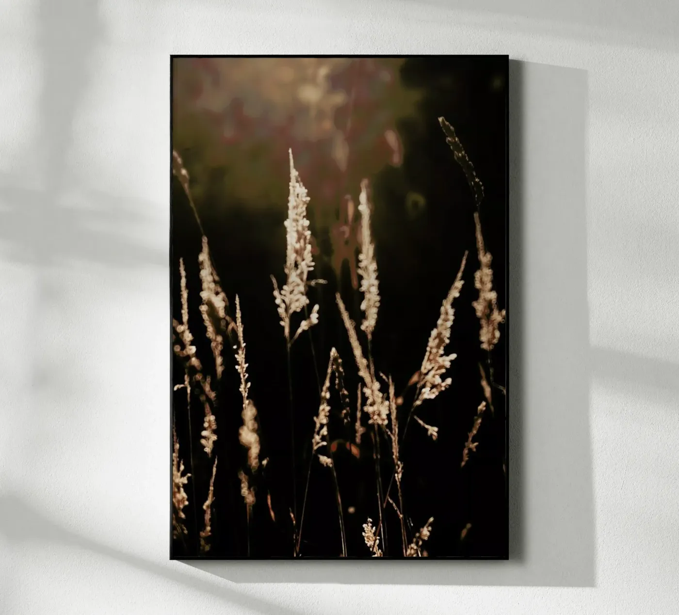 Golden Light 2 plexiglass da Ingrid Beddoes