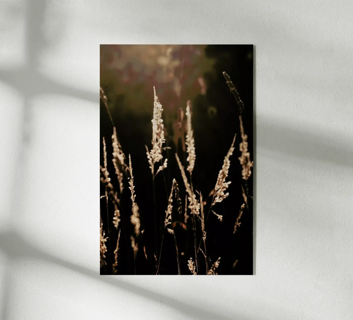 Golden Light 2 plexiglass da Ingrid Beddoes