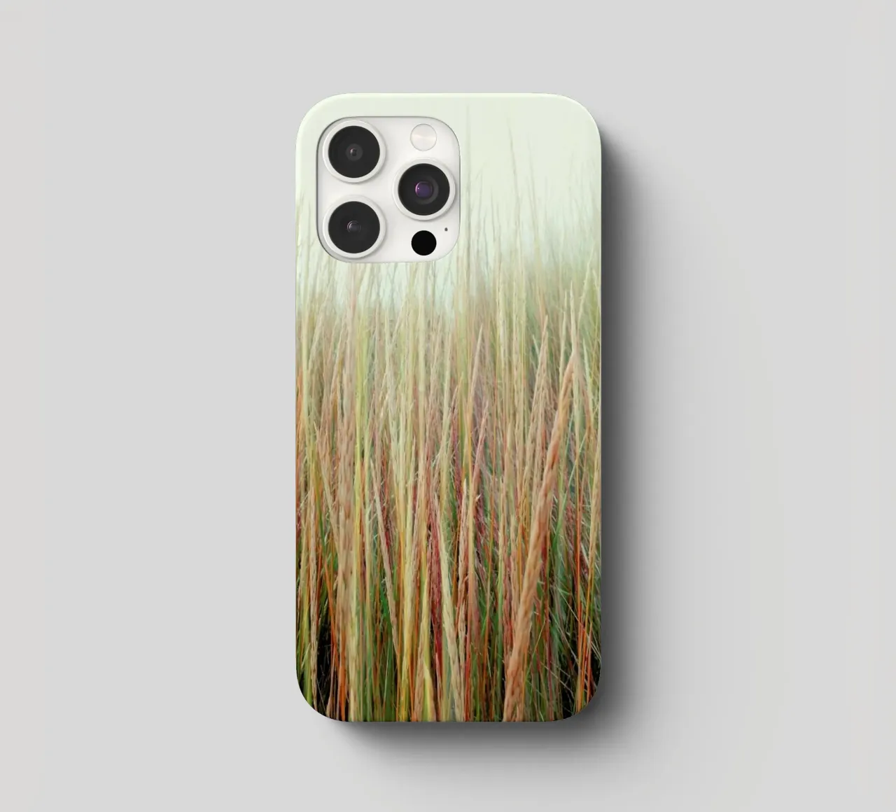 Lazy Afternoon cover iphone da Angelo Cerantola