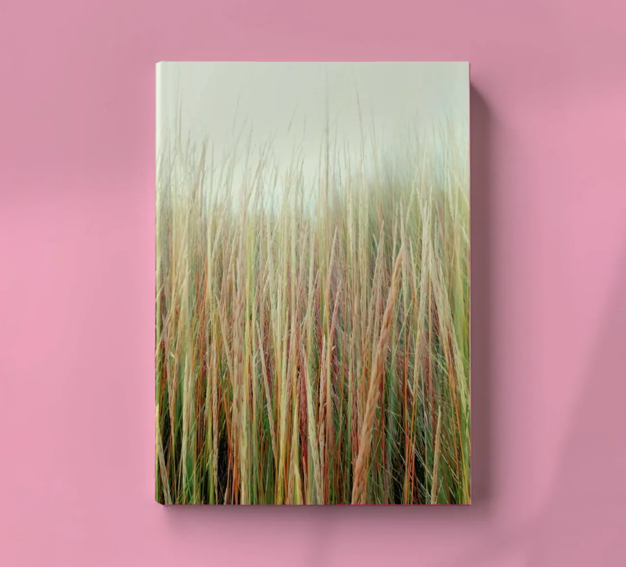 Lazy Afternoon notebook by Angelo Cerantola