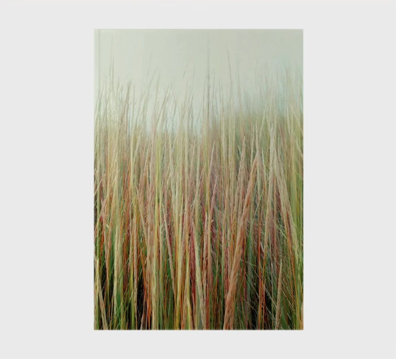 Lazy Afternoon notebook by Angelo Cerantola