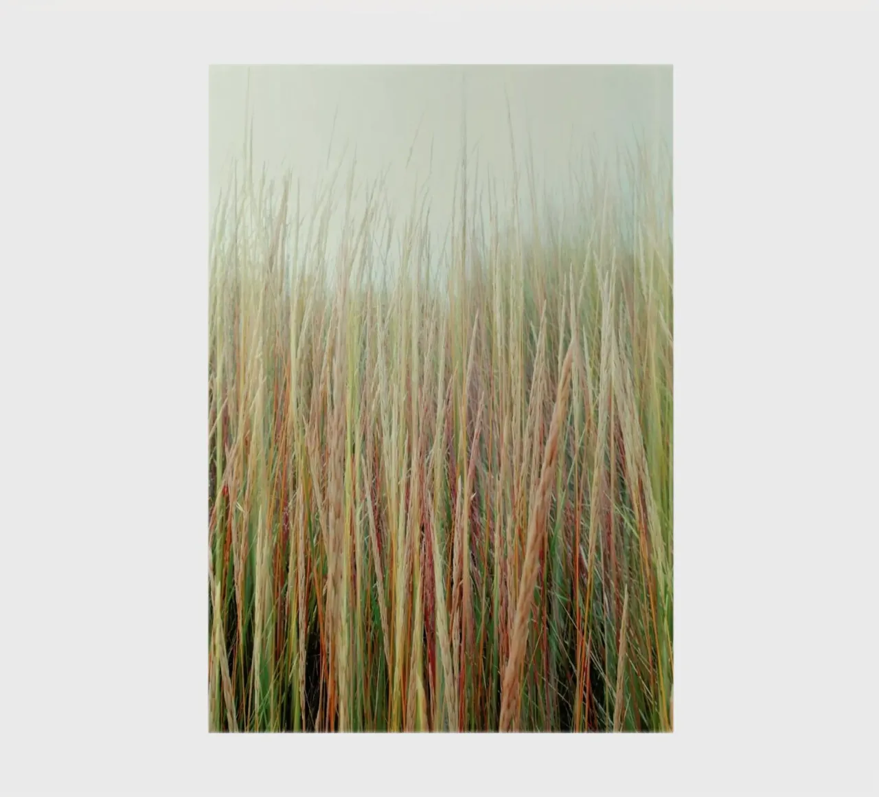 Lazy Afternoon notebook by Angelo Cerantola