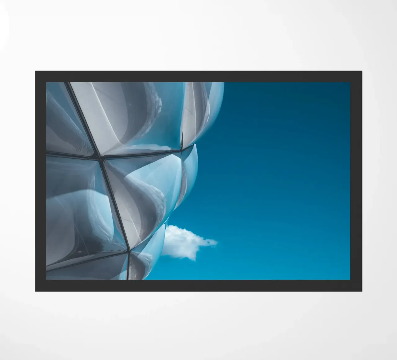 Arena zerbino da Flo Klein