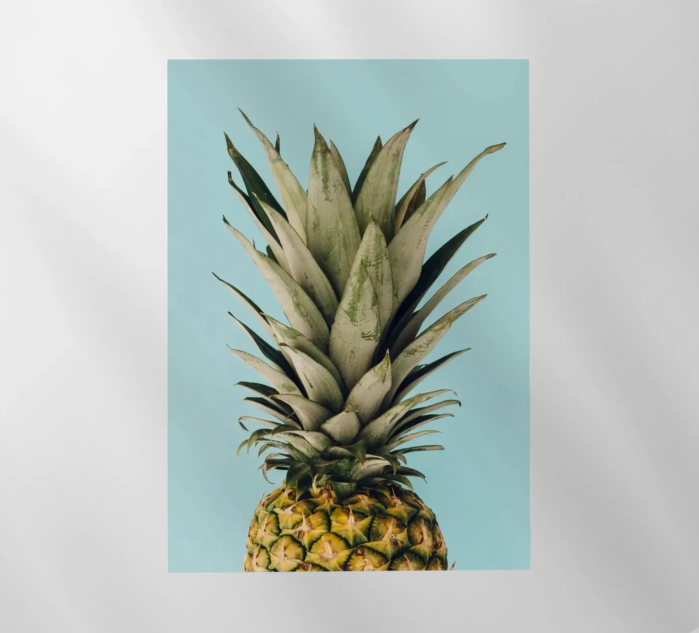 ananas pellicola backlit da Abstract Botanical Art