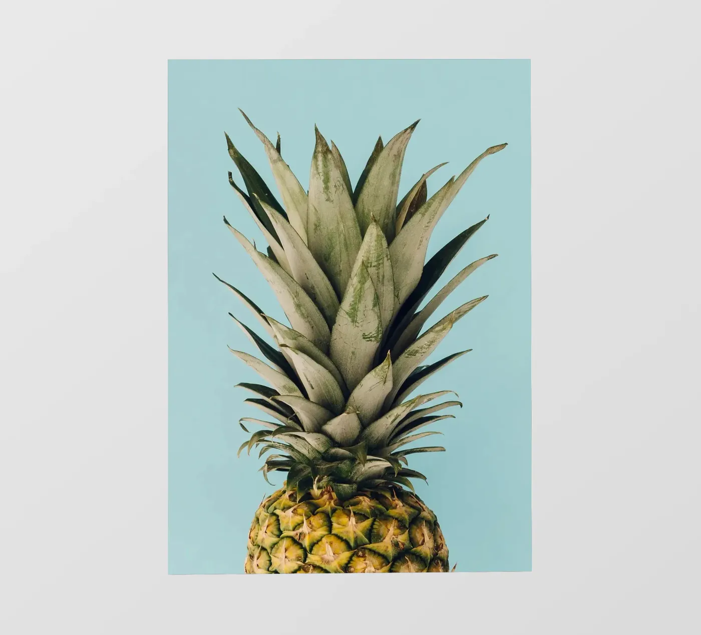 ananas pellicola backlit da Abstract Botanical Art