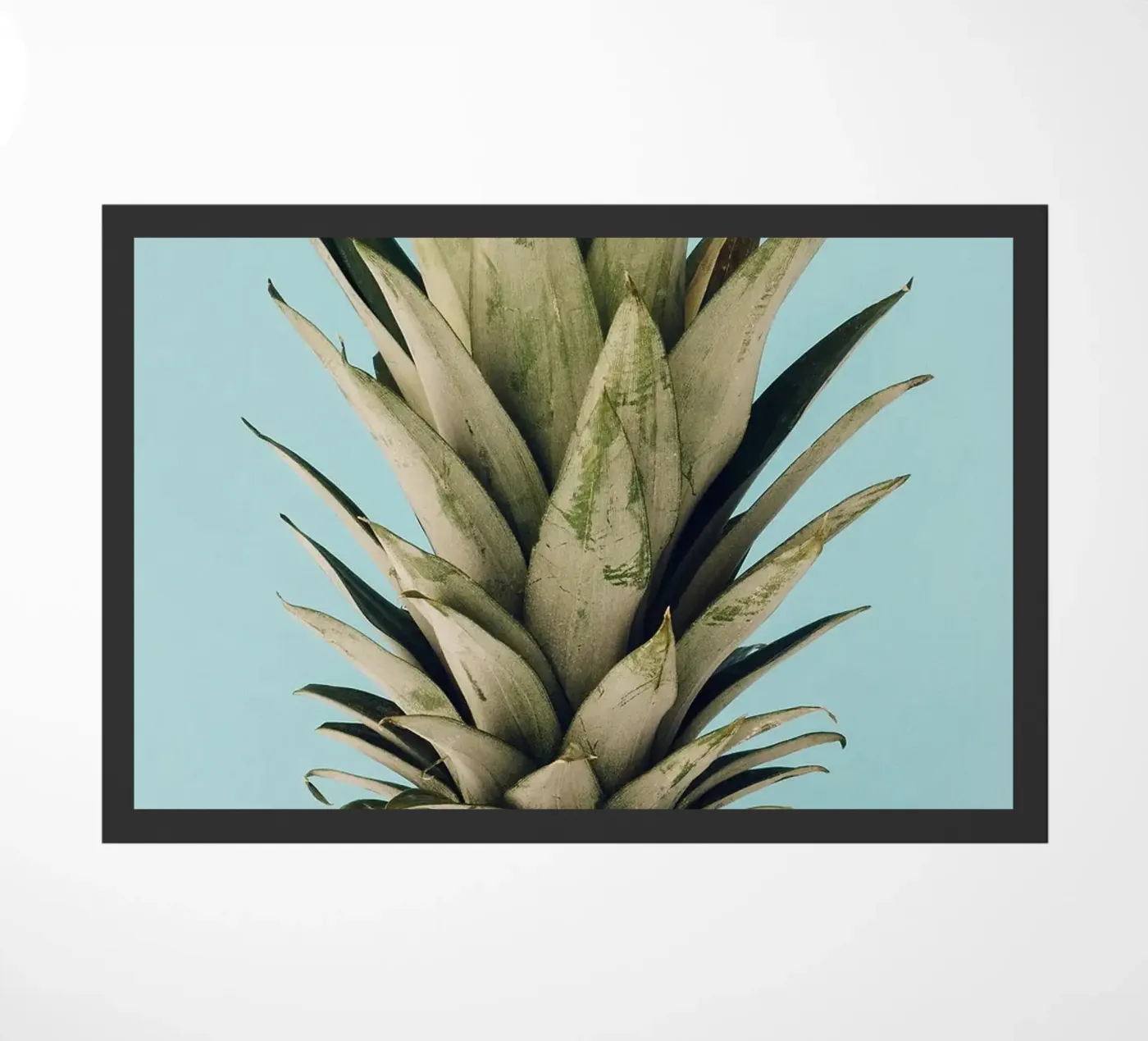 ananas zerbino da Abstract Botanical Art