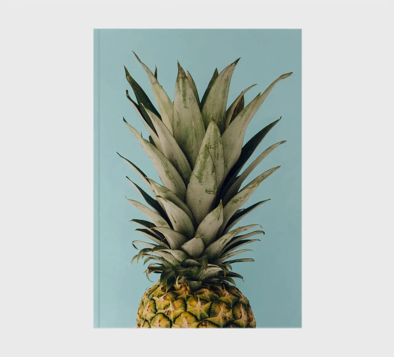 pineapple notebook by Abstract Botanical Art