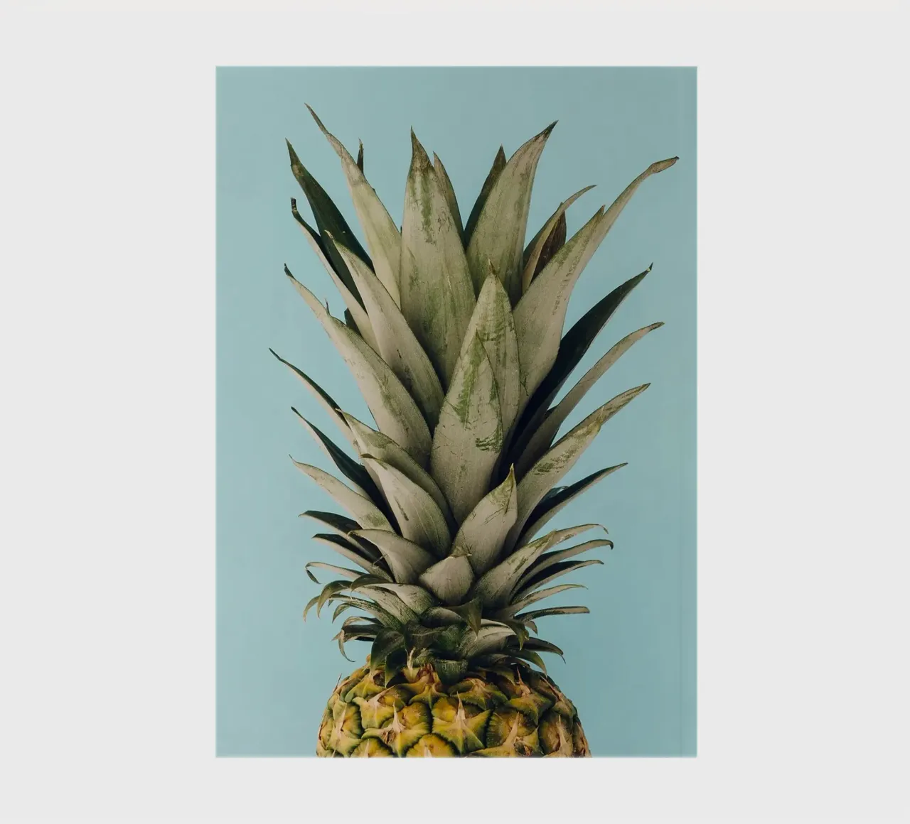 pineapple notebook by Abstract Botanical Art