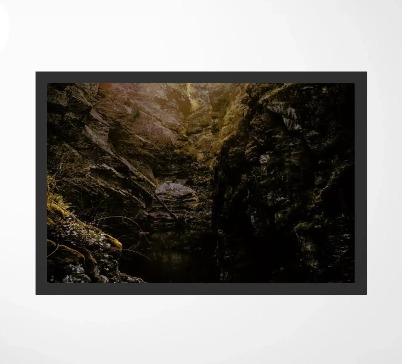 Golden Light zerbino da Ingrid Beddoes