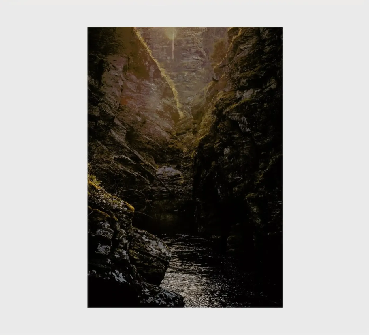 Golden Light notebook by Ingrid Beddoes
