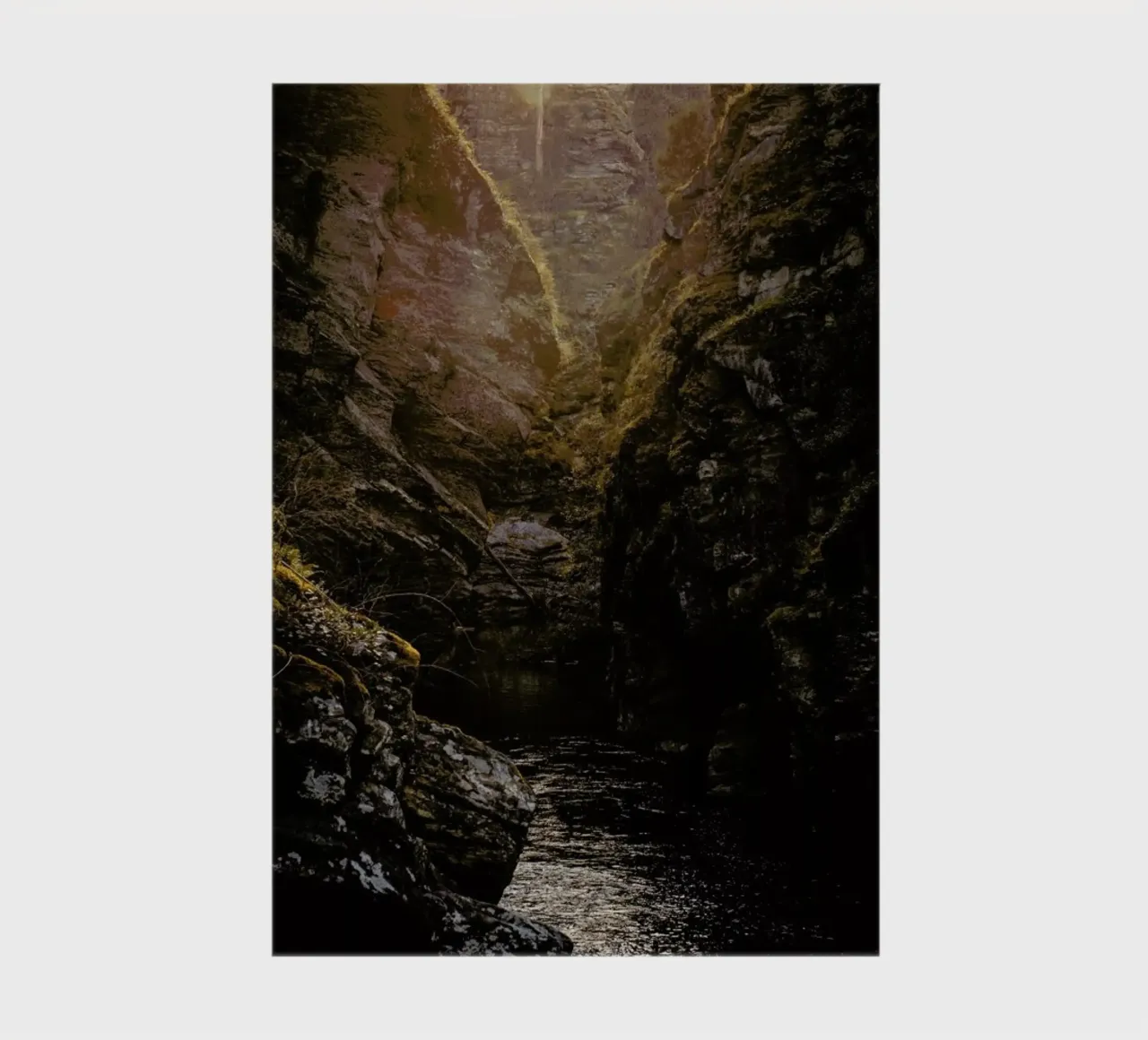 Golden Light notebook by Ingrid Beddoes