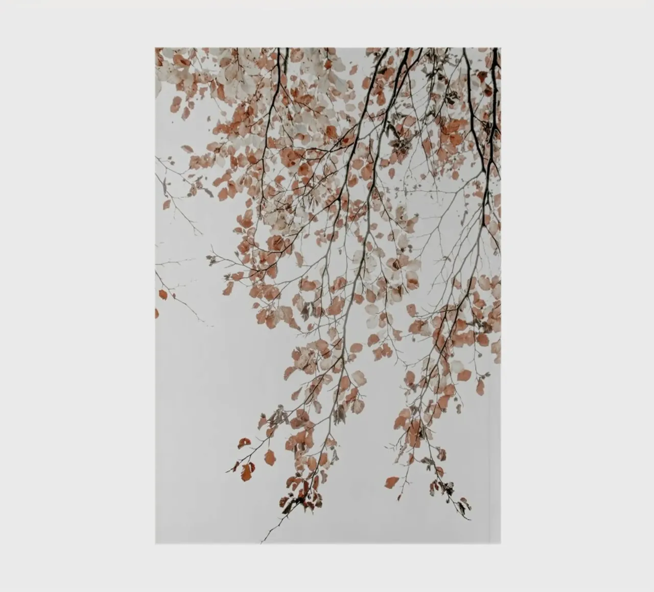 Under the Tree Fagus Syl Birch Tree notebook by Monika Strigel
