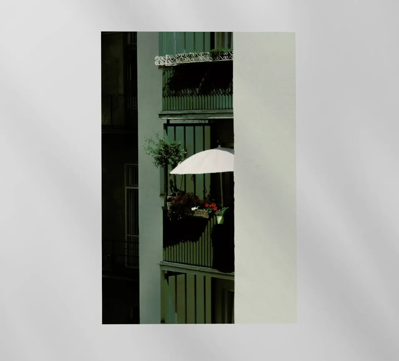 Bloom pellicola backlit da Picture On The Fridge