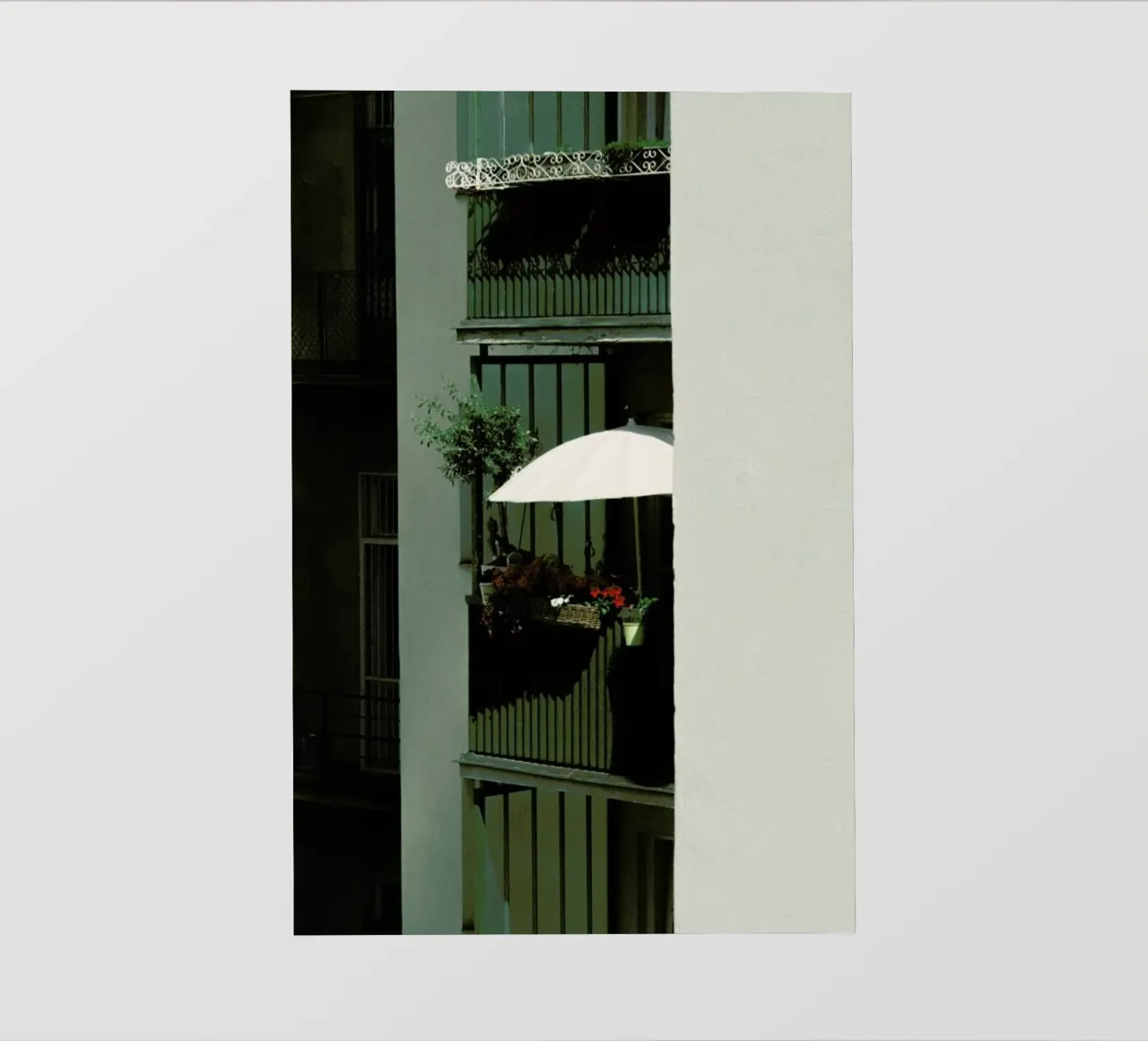 Bloom pellicola backlit da Picture On The Fridge