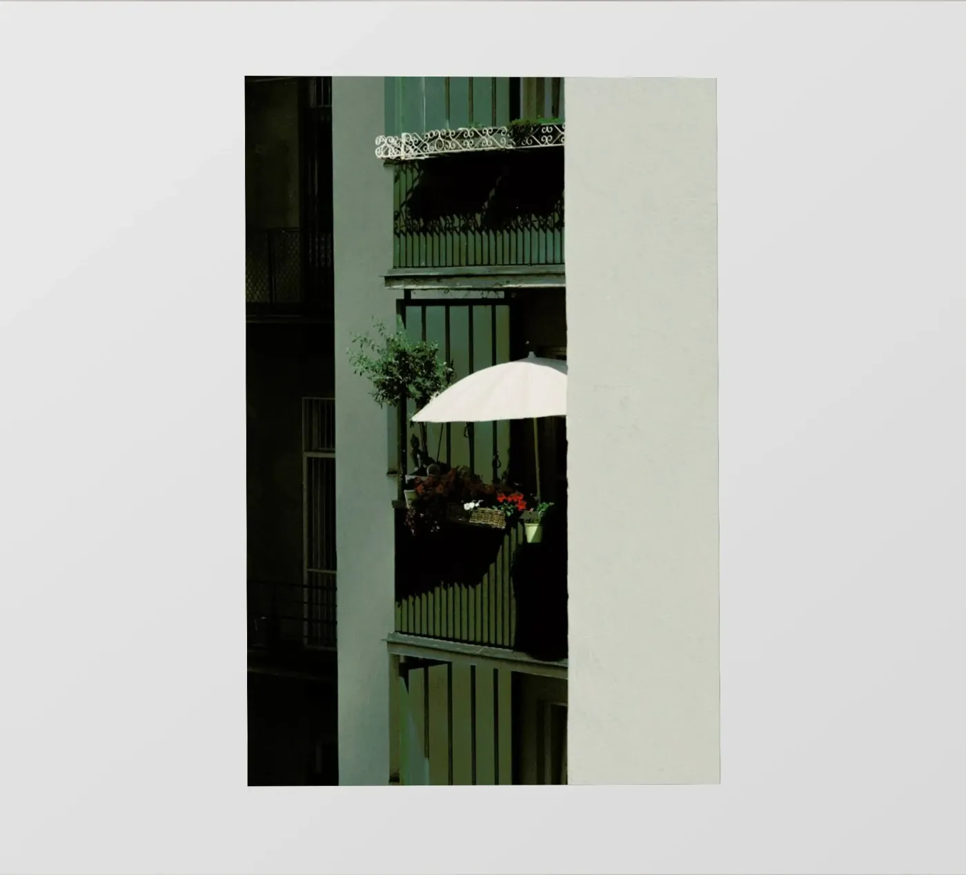 Bloom backlit folie van Picture On The Fridge