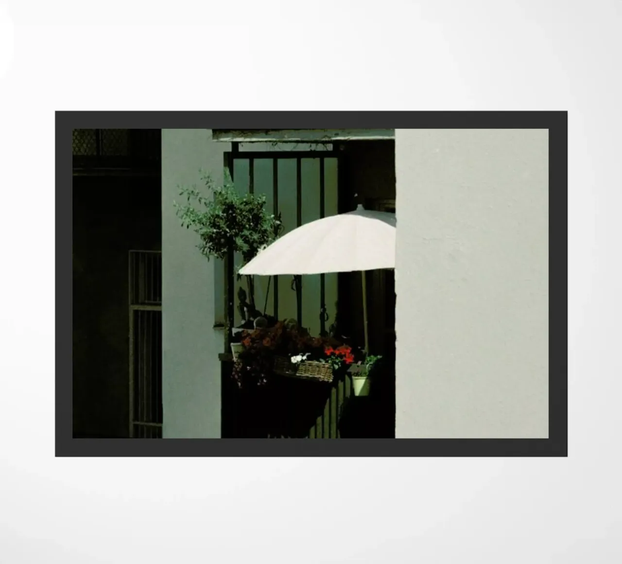 Bloom zerbino da Picture On The Fridge