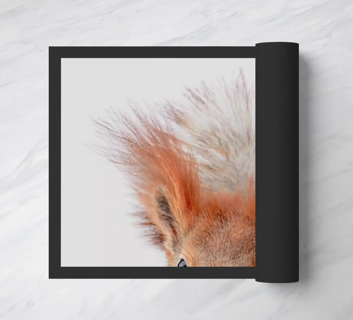 Red Squirrel Fußmatte von Paws & Claws