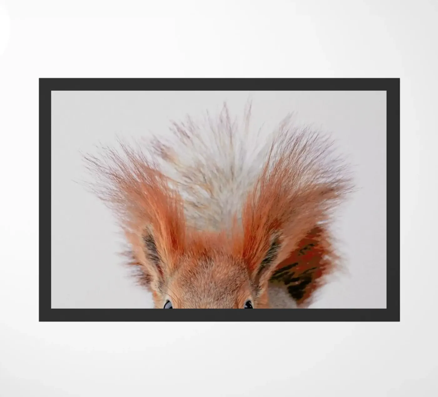 Red Squirrel Fußmatte von Paws & Claws