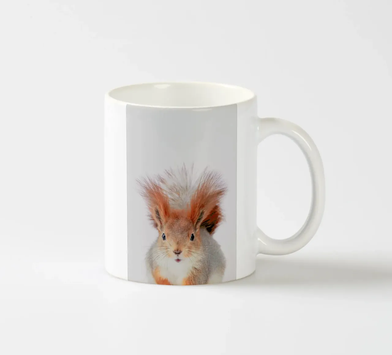 Red Squirrel ceramic mug by Paws & Claws