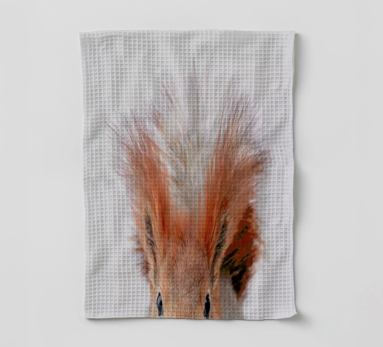 Red Squirrel canovaccio da cucina da Paws & Claws