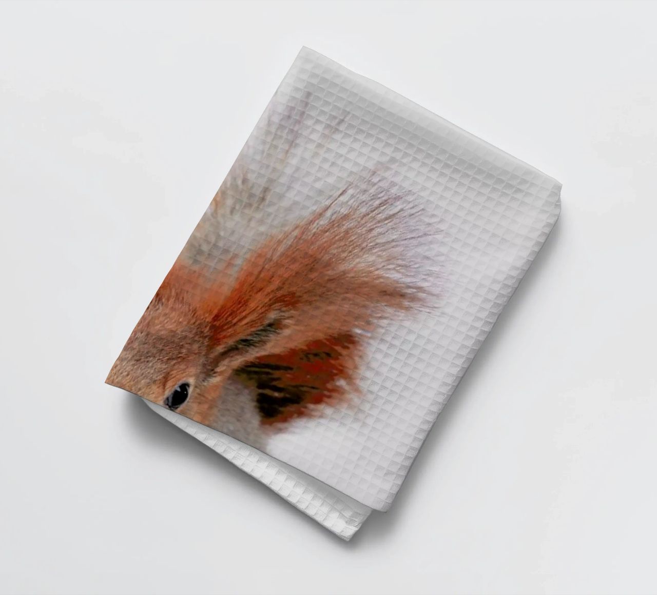 Red Squirrel canovaccio da cucina da Paws & Claws
