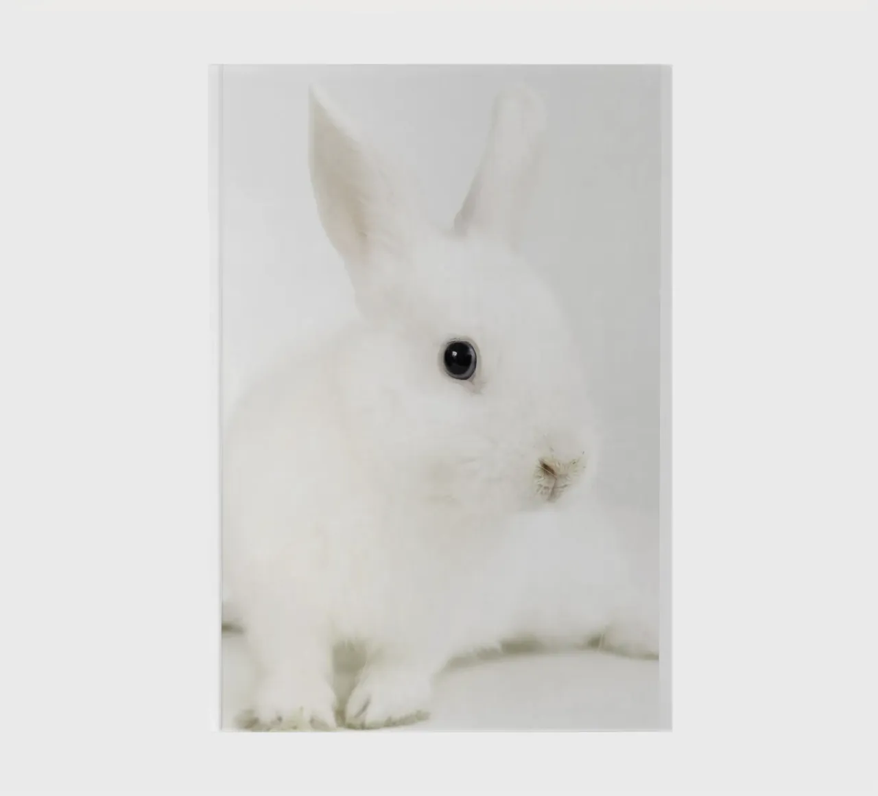 white rabbit pinki notebook by Alicia´s