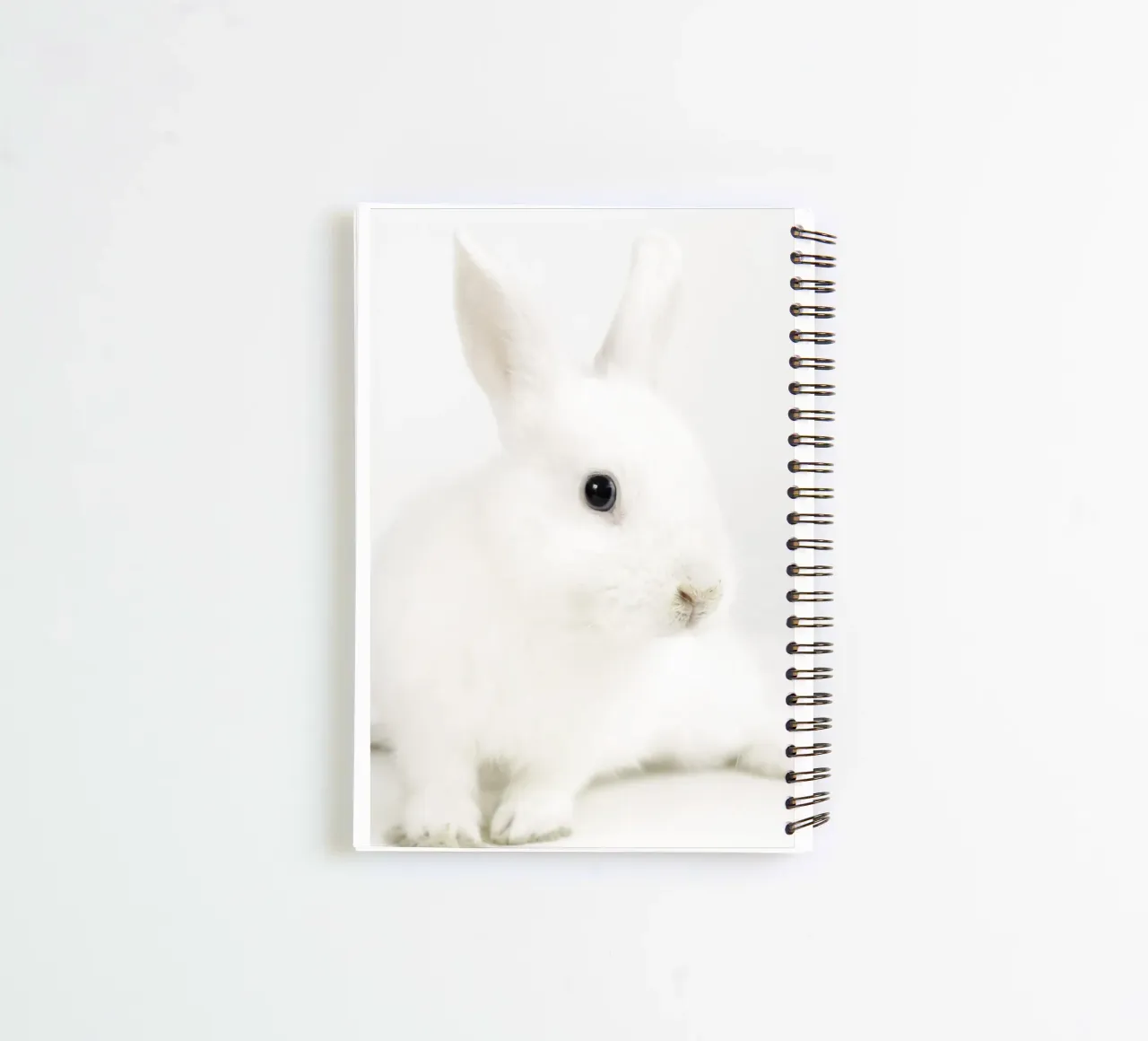 white rabbit pinki spiral notebook by Alicia´s