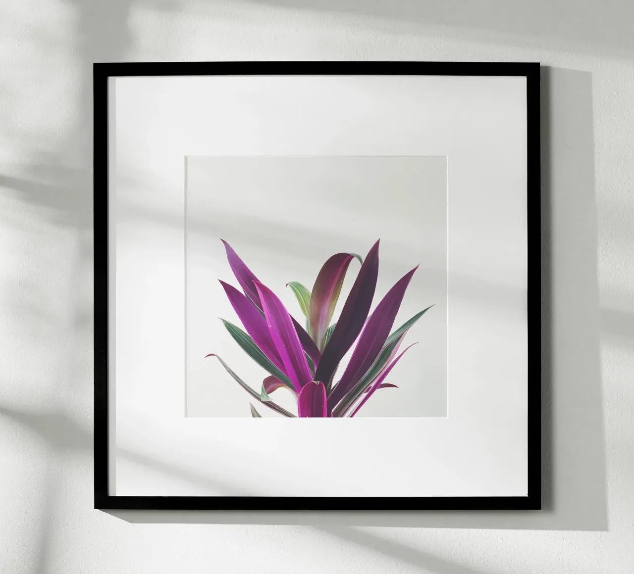 Boat Lily poster by Cassia Beck Photography