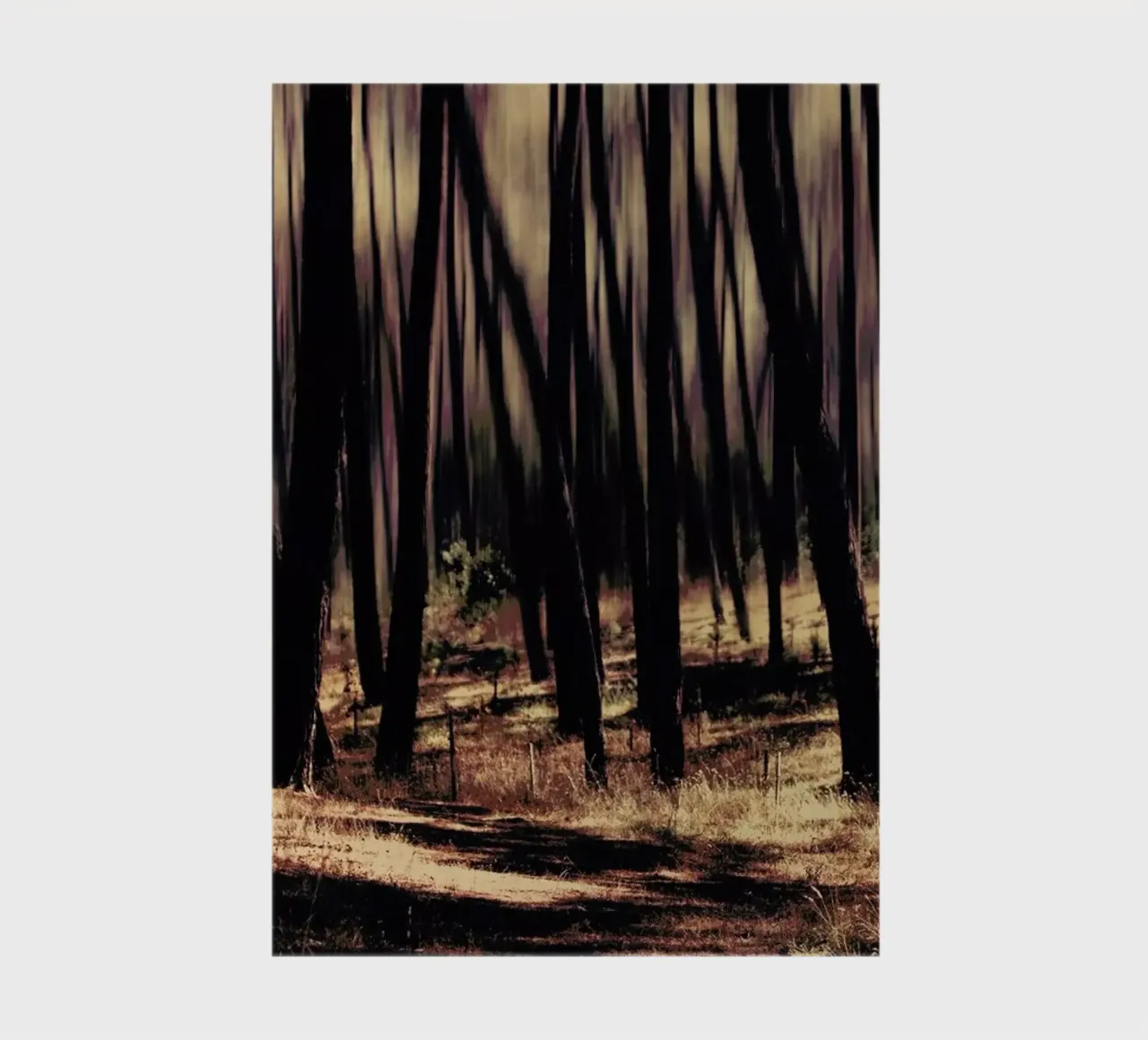 follow the light notebook by Ingrid Beddoes