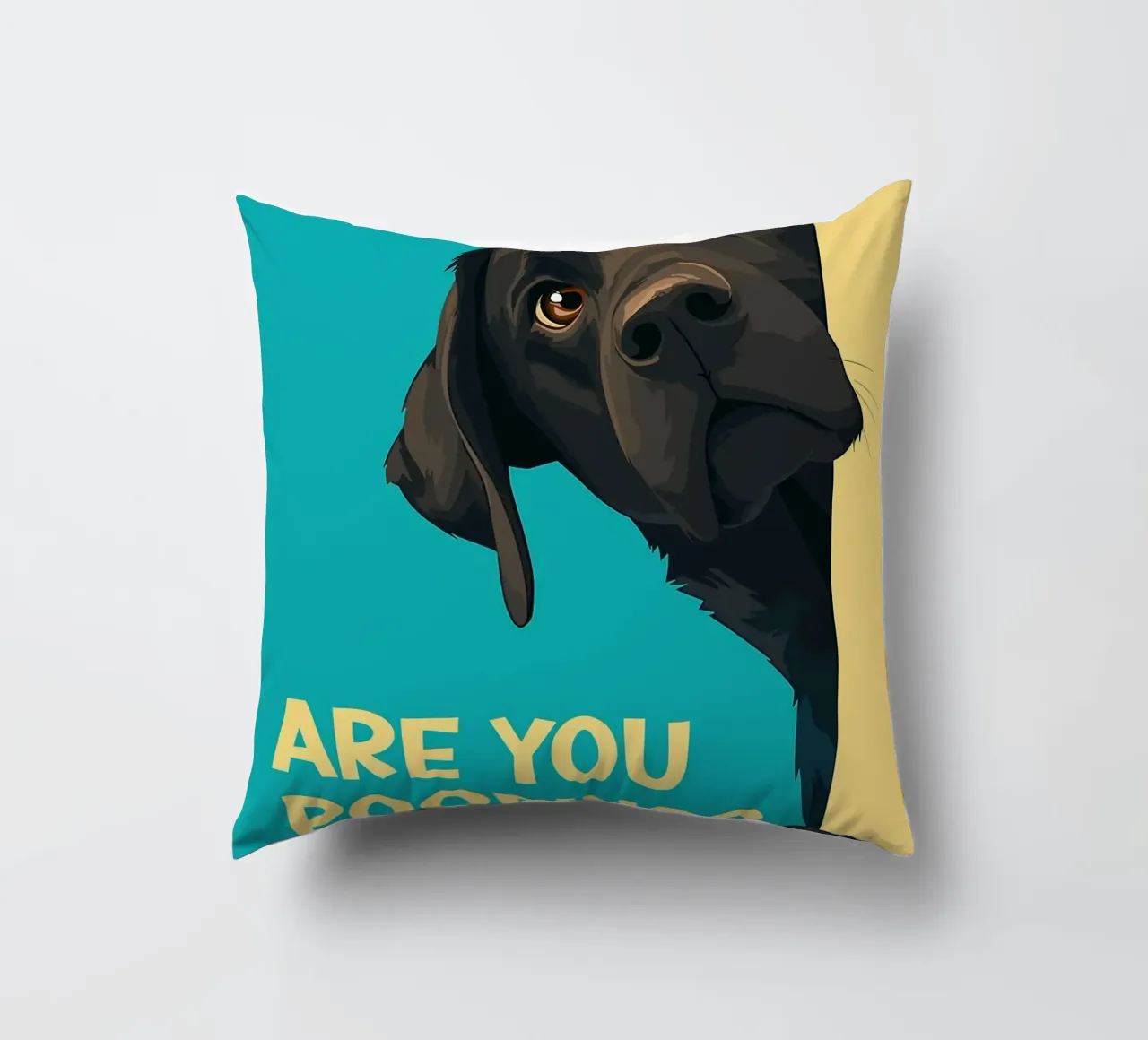dog question playful humor decorative cushion by Kirsten C Nolan