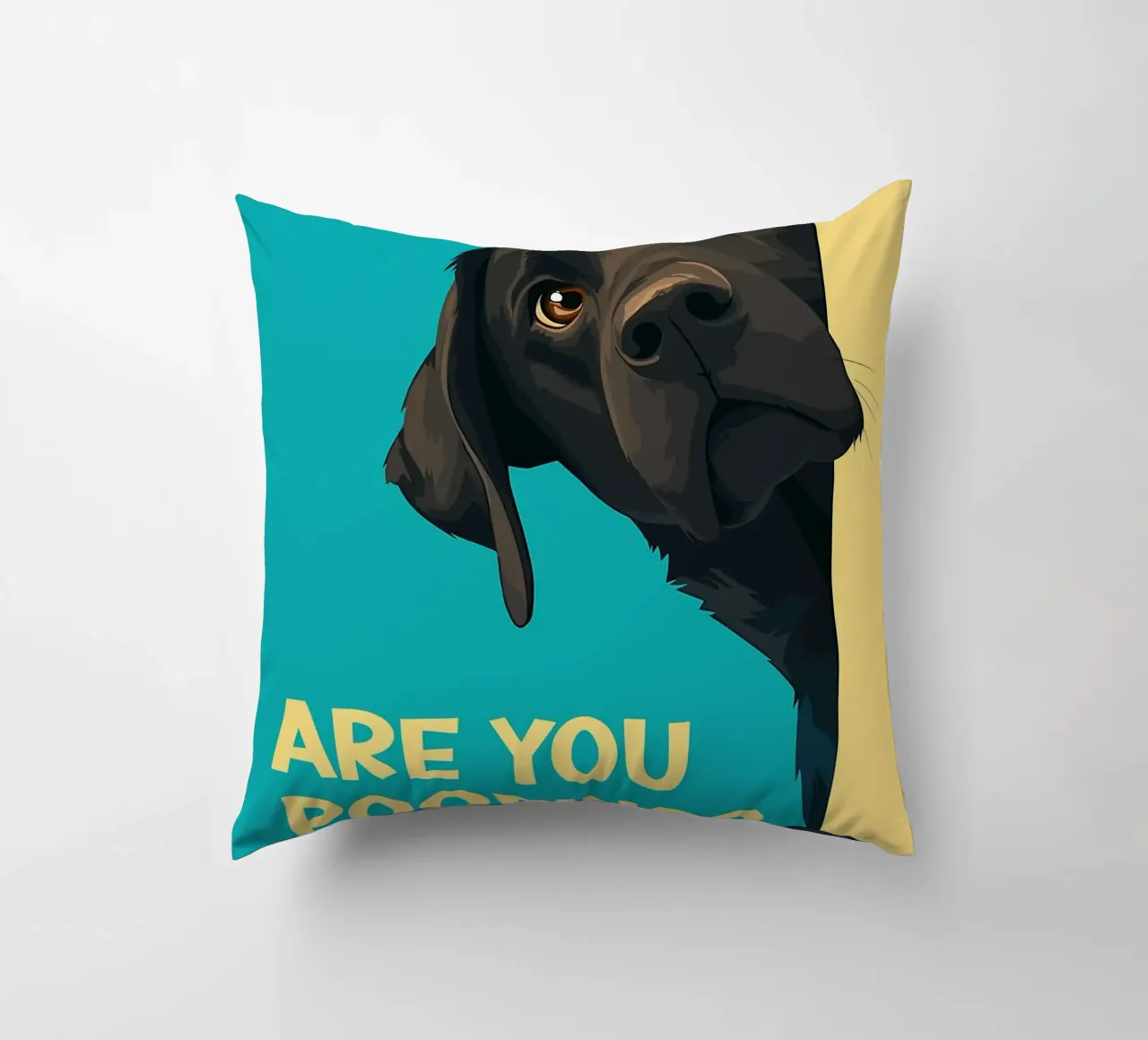 dog question playful humor decorative cushion by Kirsten C Nolan