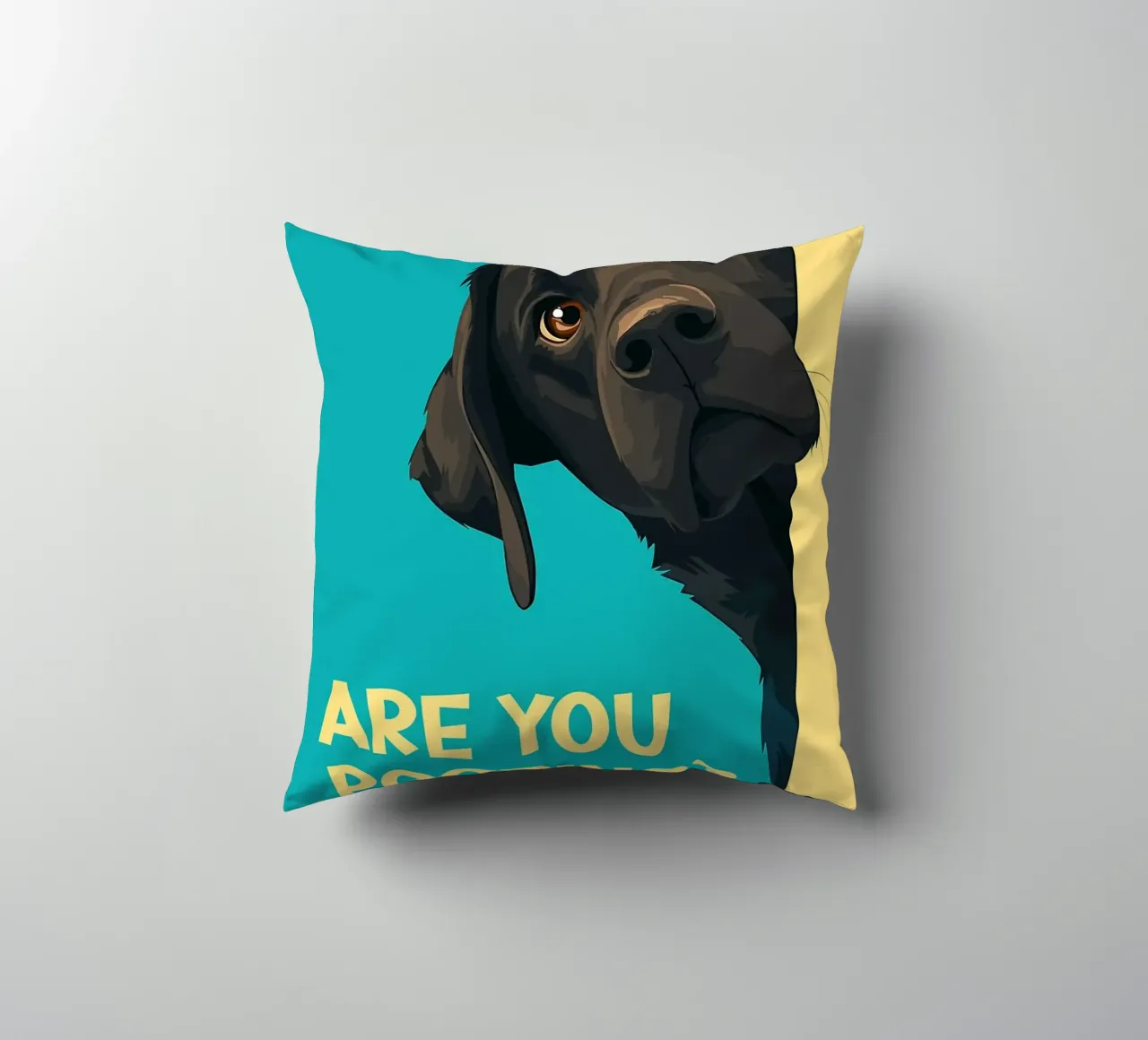 dog question playful humor decorative cushion by Kirsten C Nolan