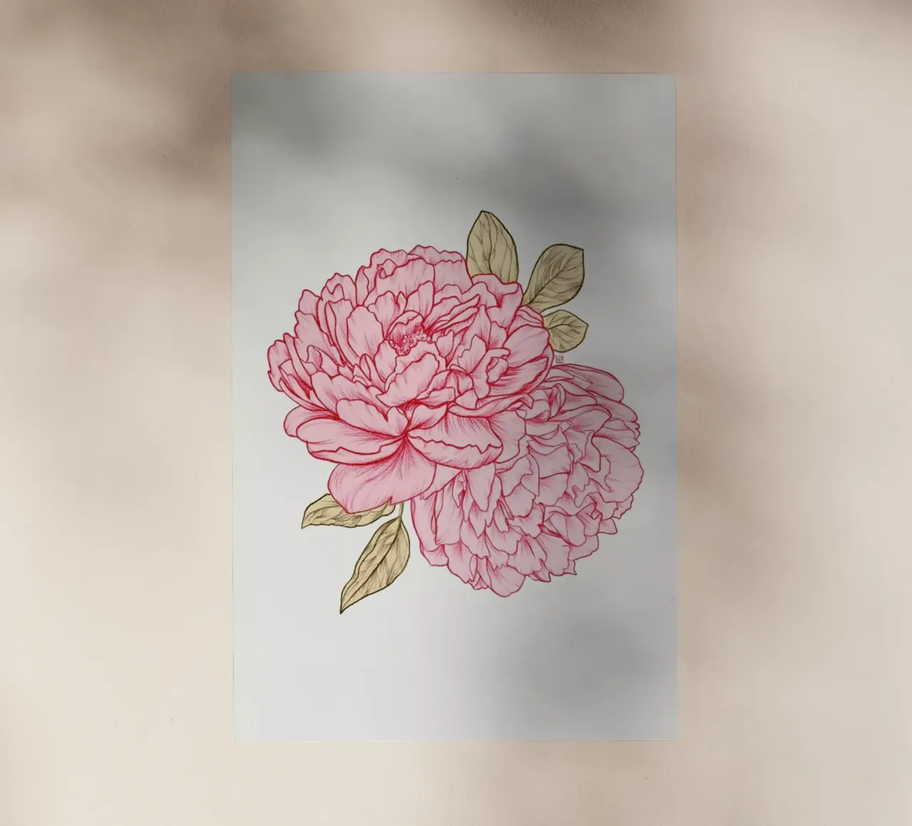 Peonies pellicola backlit da Laura O'Connor