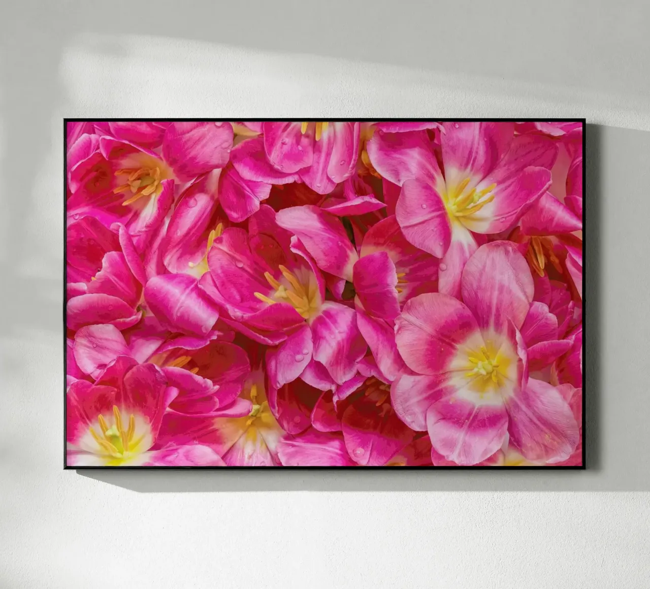 Pink Tulips plexiglass da Curious Collections by Marielle Leenders