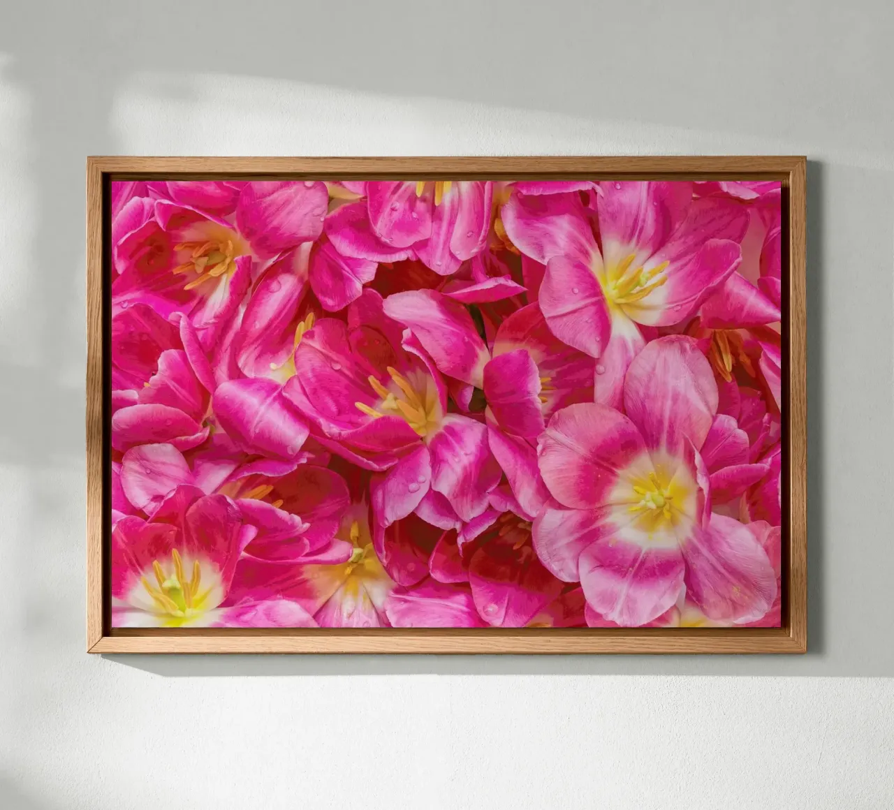 Pink Tulips alu-dibond by Curious Collections by Marielle Leenders
