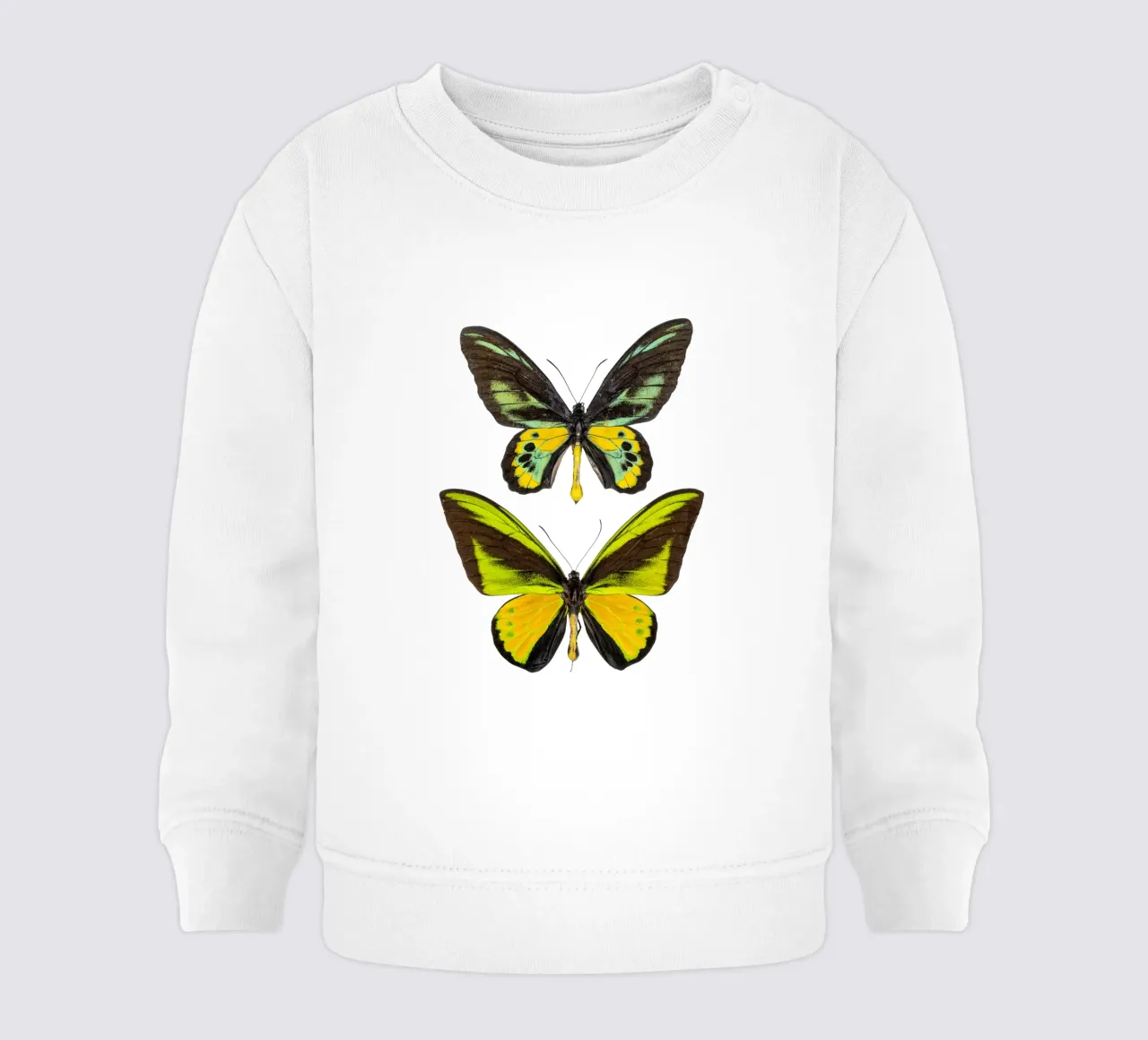 Farfalle verdi felpa neonato da Curious Collections by Marielle Leenders