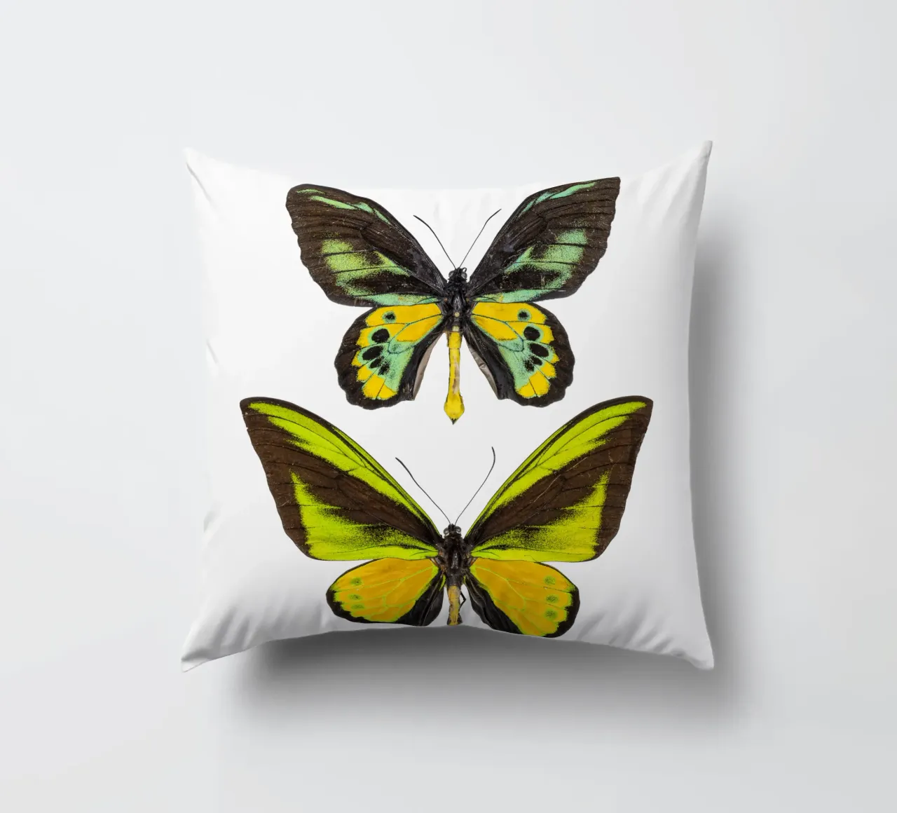 Green Butterflies decorative cushion by Curious Collections by Marielle Leenders