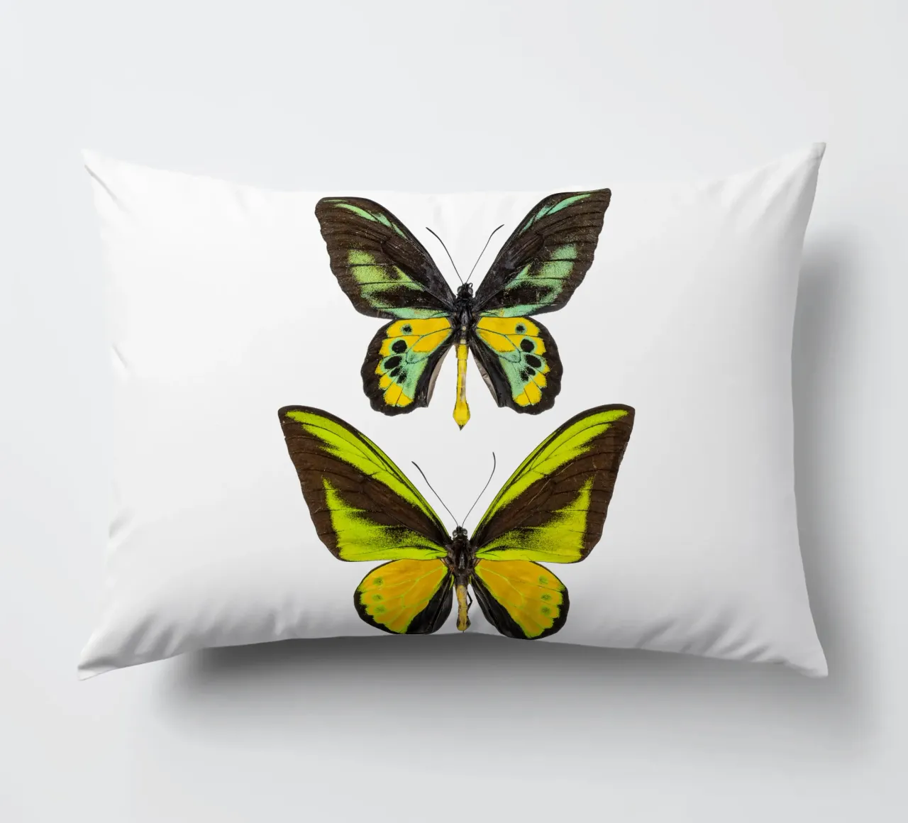 Green Butterflies decorative cushion by Curious Collections by Marielle Leenders