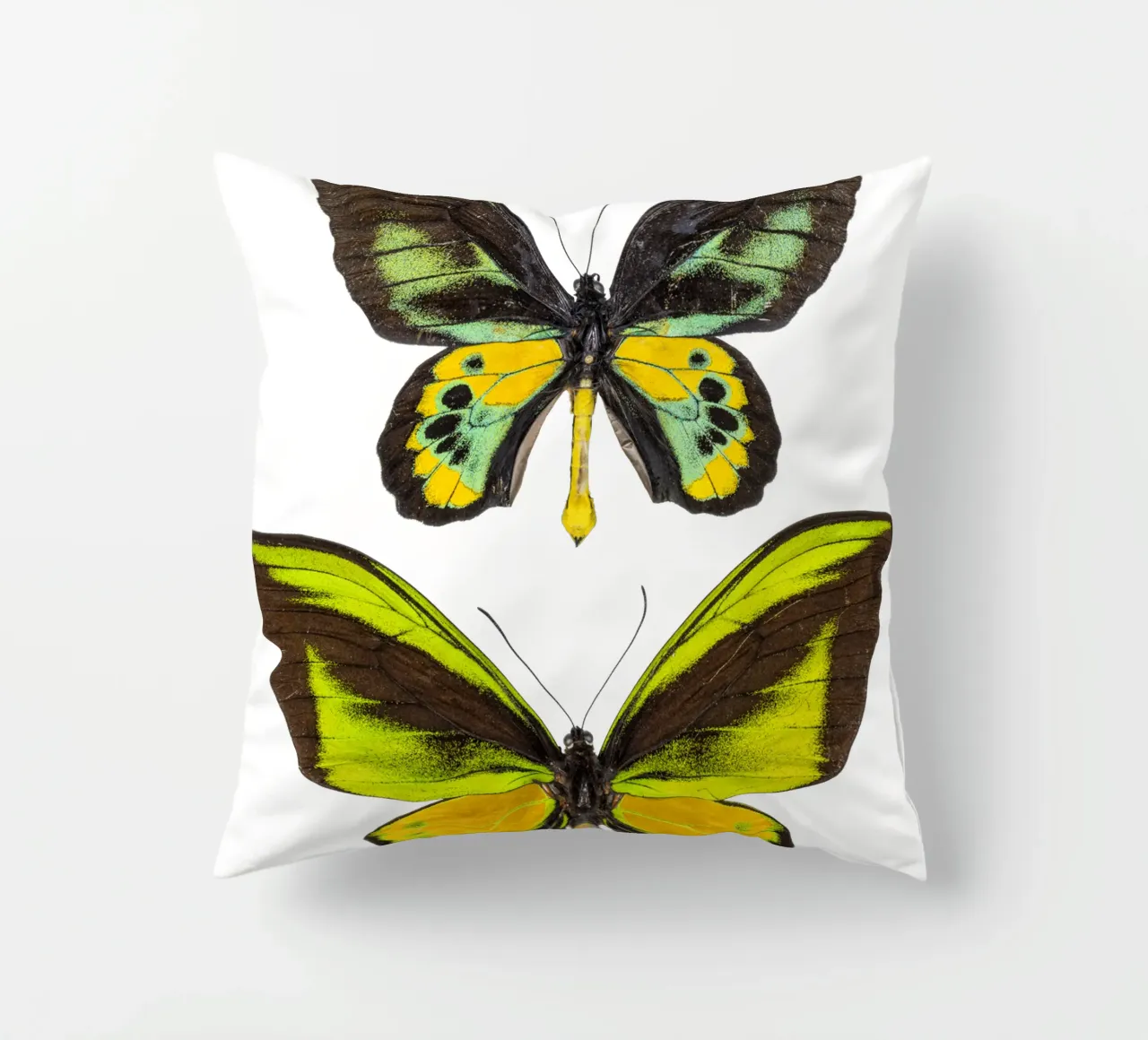 Green Butterflies decorative cushion by Curious Collections by Marielle Leenders