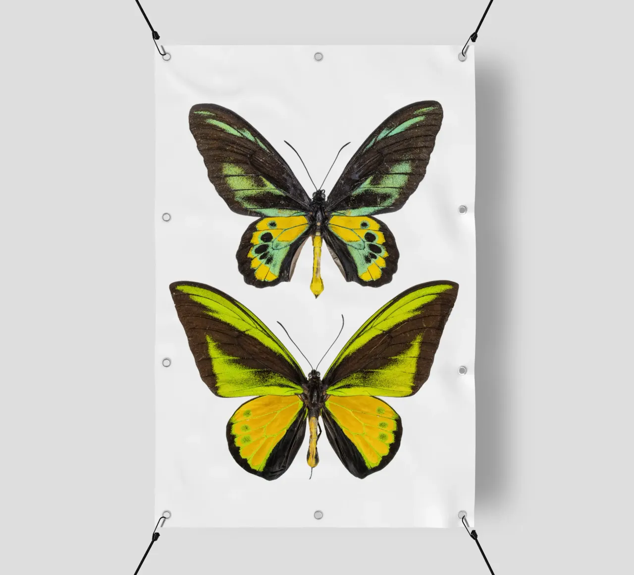Green Butterflies pvc cover by Curious Collections by Marielle Leenders