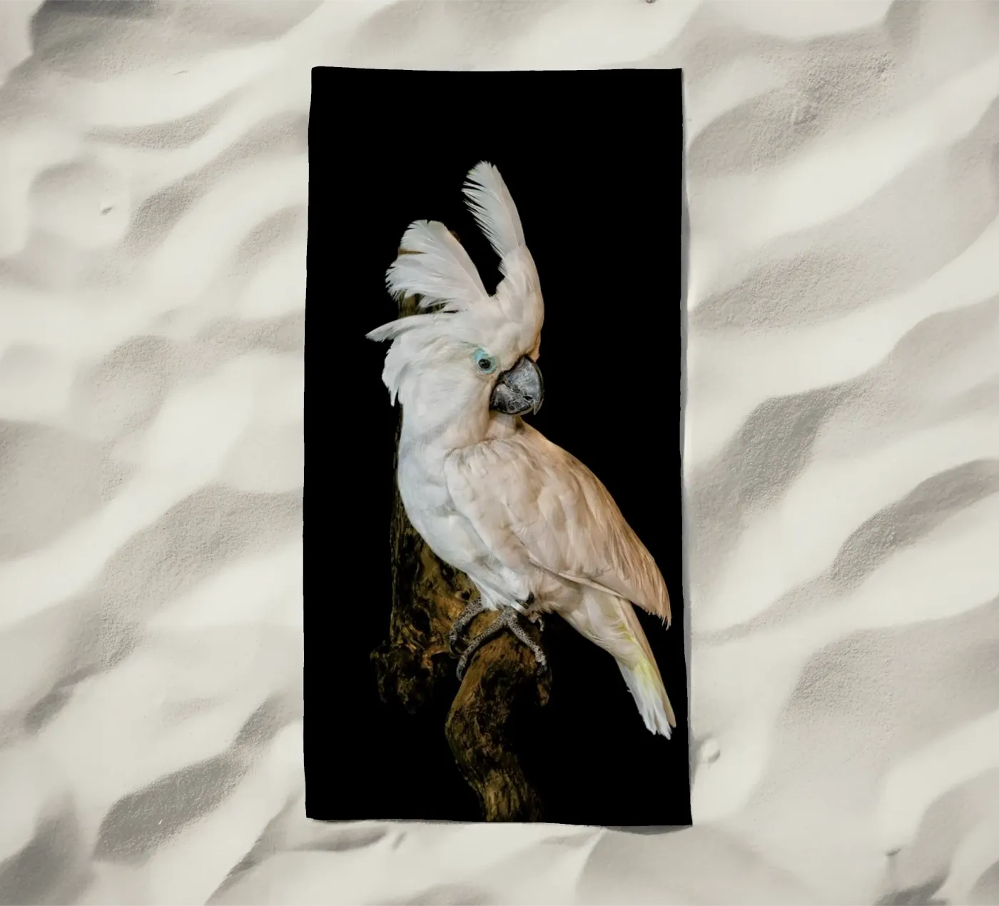 Birds 1 telo mare da Curious Collections by Marielle Leenders