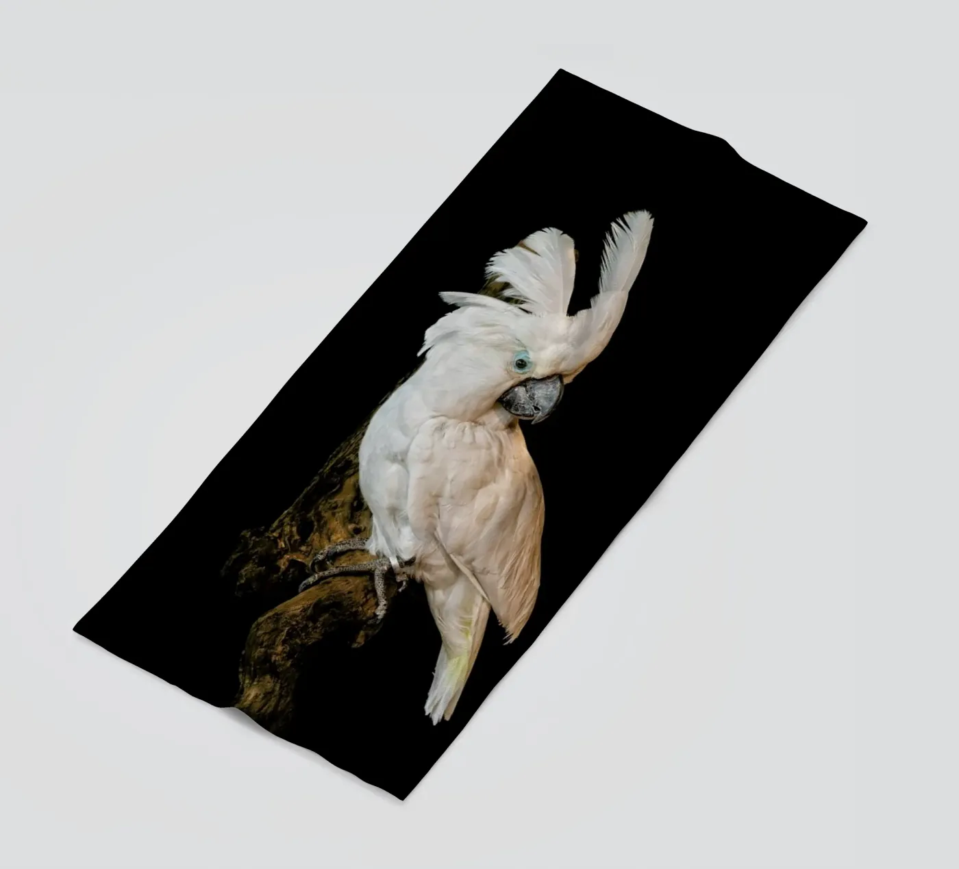 Birds 1 telo mare da Curious Collections by Marielle Leenders
