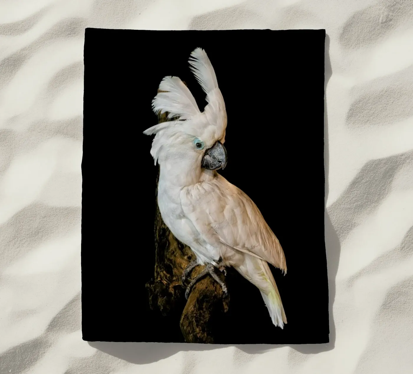Birds 1 telo mare da Curious Collections by Marielle Leenders