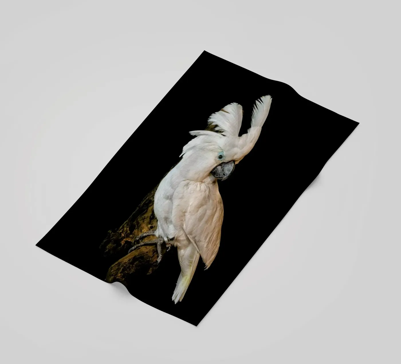 Birds 1 telo mare da Curious Collections by Marielle Leenders