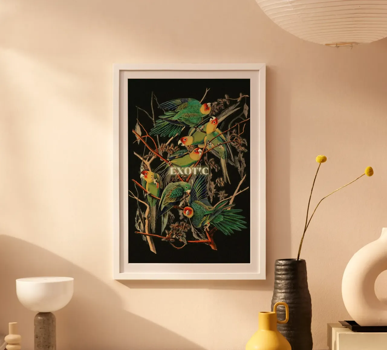 Exotic poster da Jonas Loose