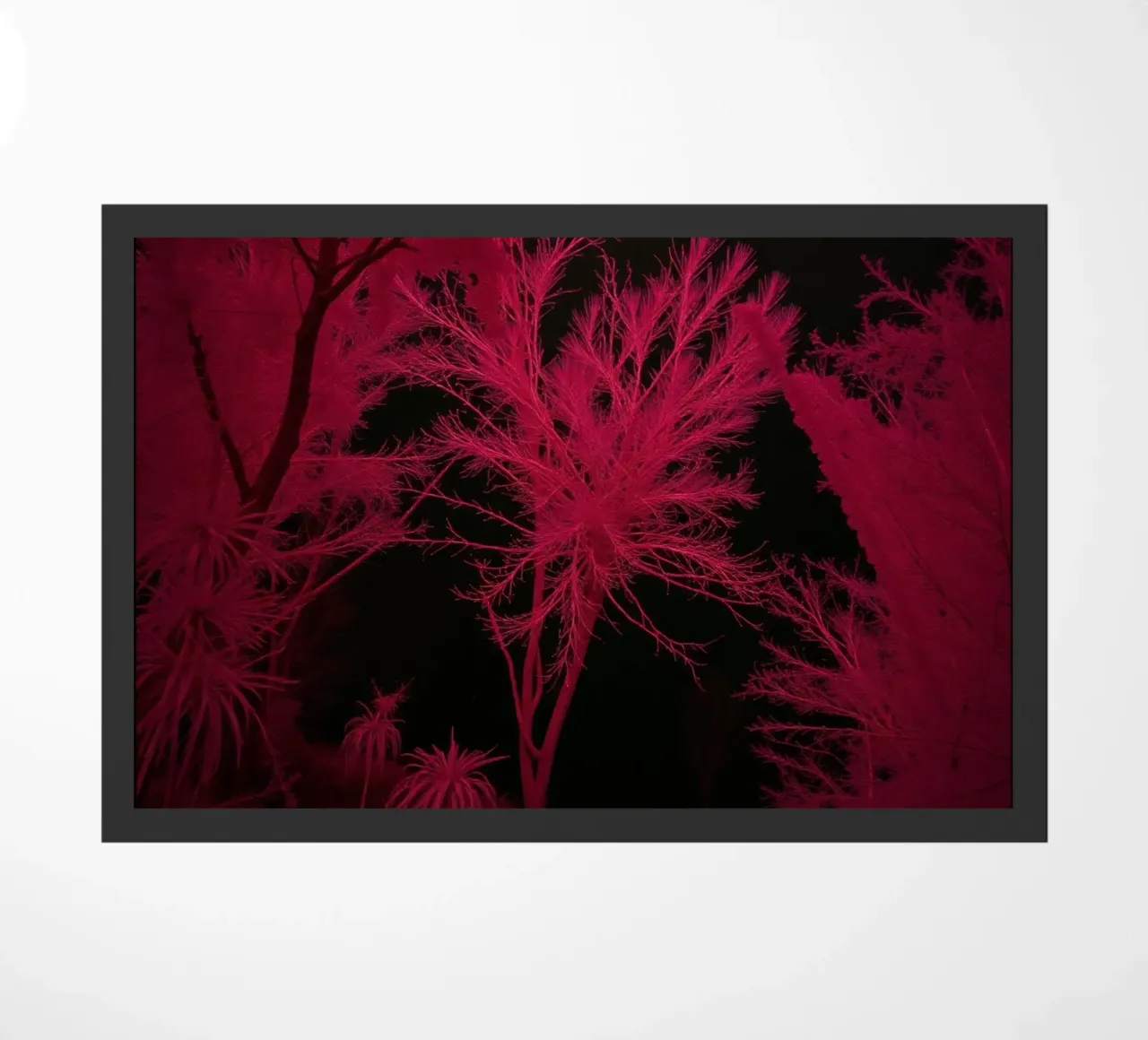 Il paesaggio vivido a infrarossi mostra alberi e piante luminose zerbino da DesignDoodle