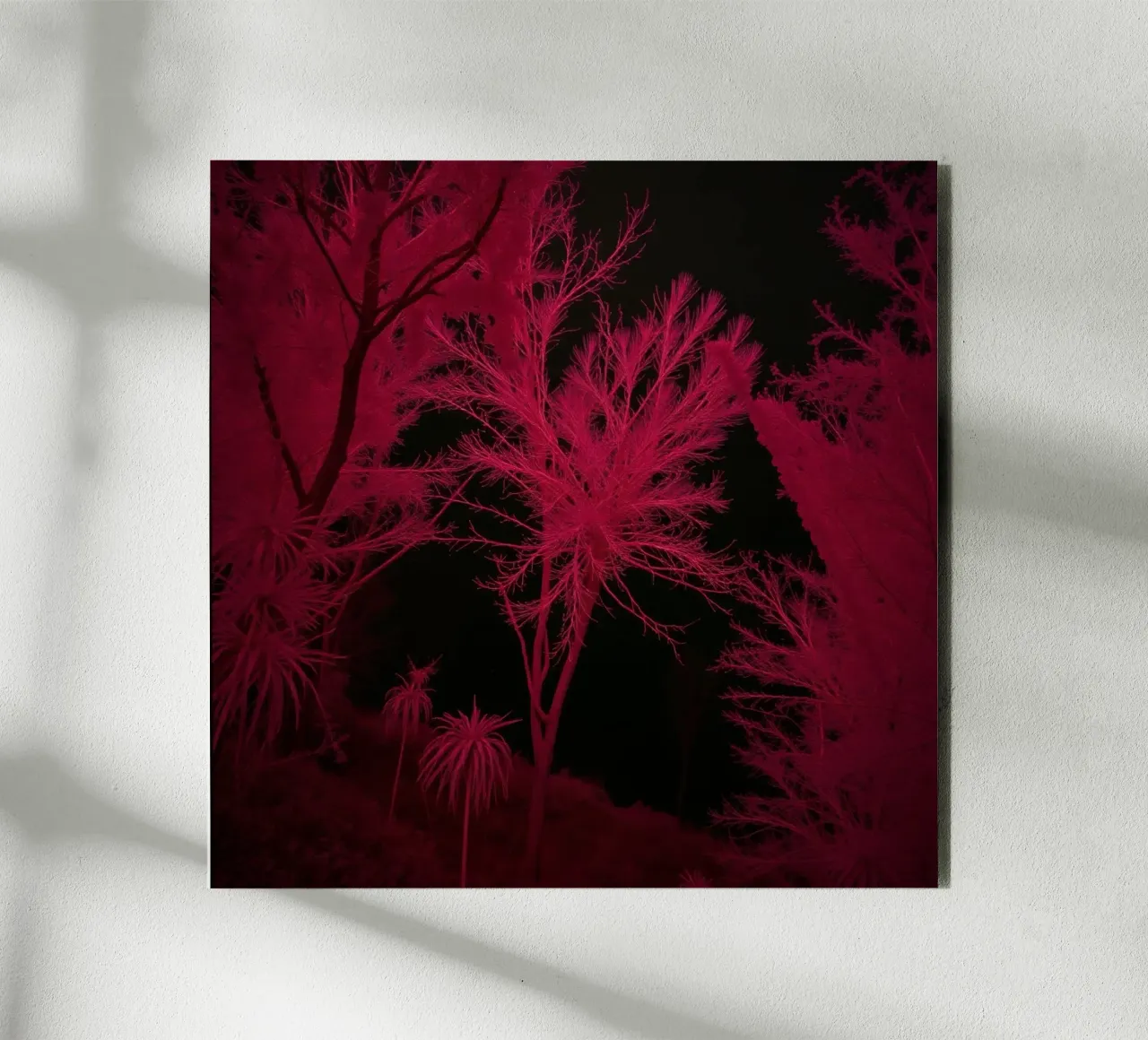 Il paesaggio vivido a infrarossi mostra alberi e piante luminose alluminio dibond da DesignDoodle
