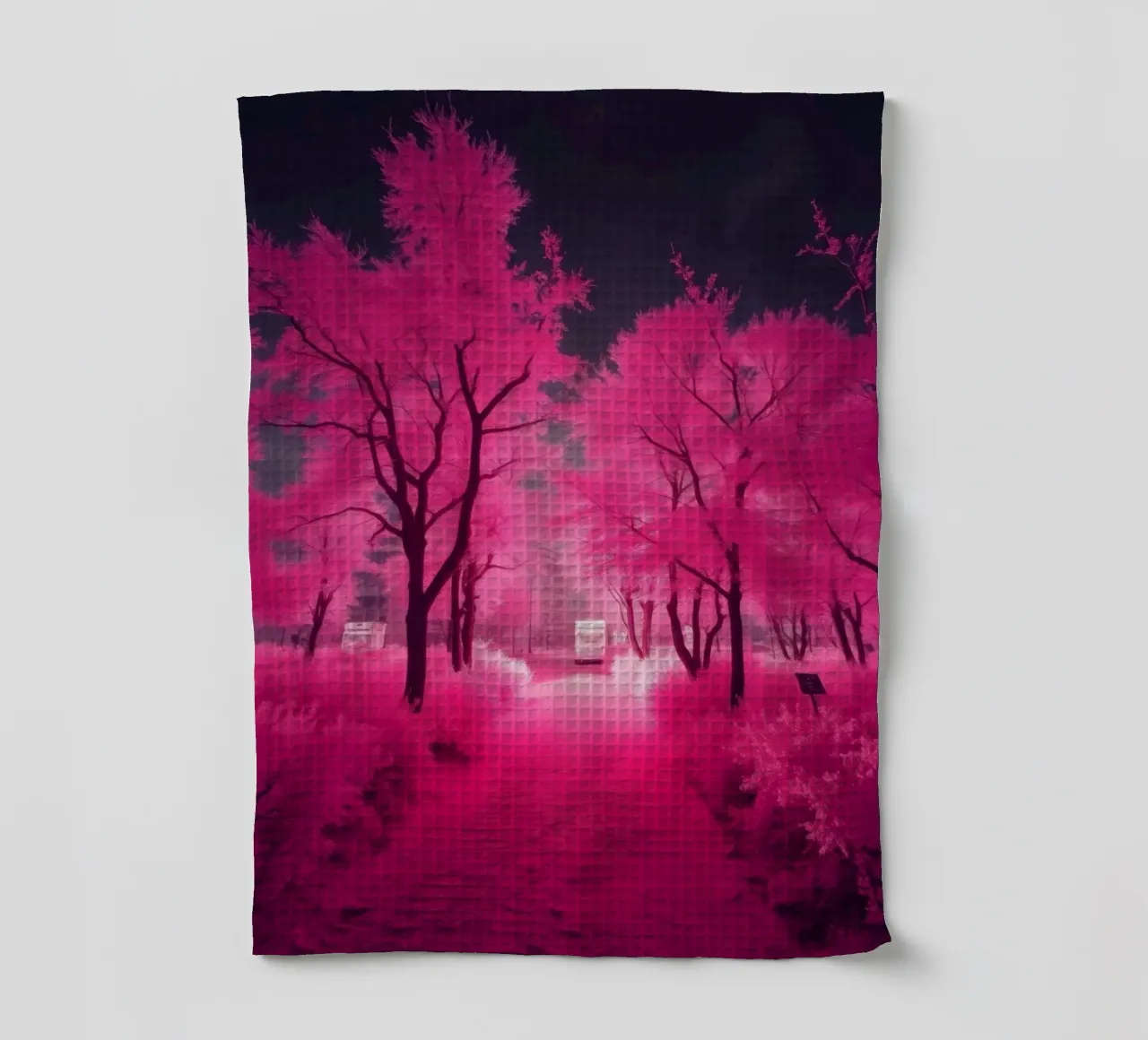 Alberi rosa vibranti che costeggiano un sentiero sereno in un'atmosfera eterea. canovaccio da cucina da DesignDoodle