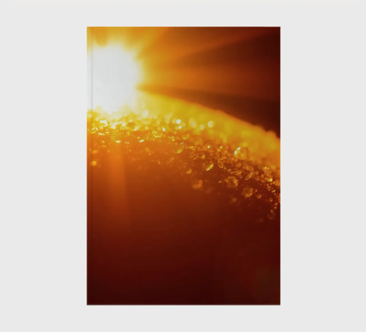 Sunlight glistens on a dewy surface at dawn, creating a warm notebook by DesignDoodle